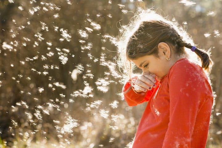 Oh My, Allergies!