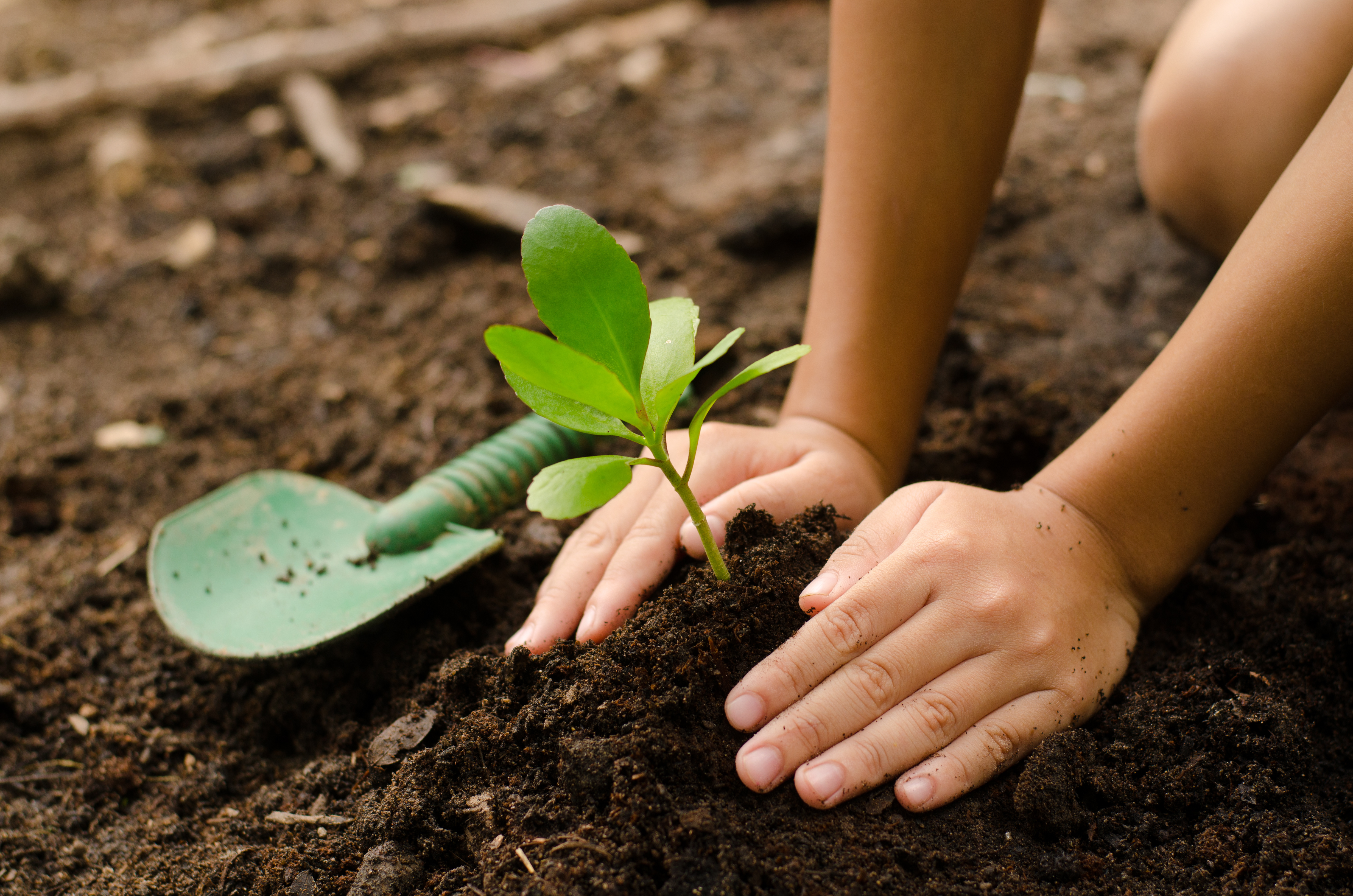 benefits of gardening outside summer healthy tips learning through play nutrition development family activity volunteer spring healthy